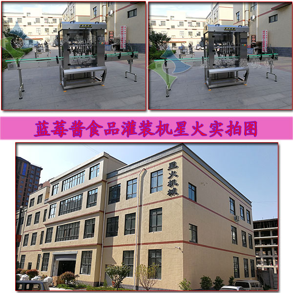 蓝莓酱食品灌装机